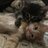 Antonin_Chokopaev